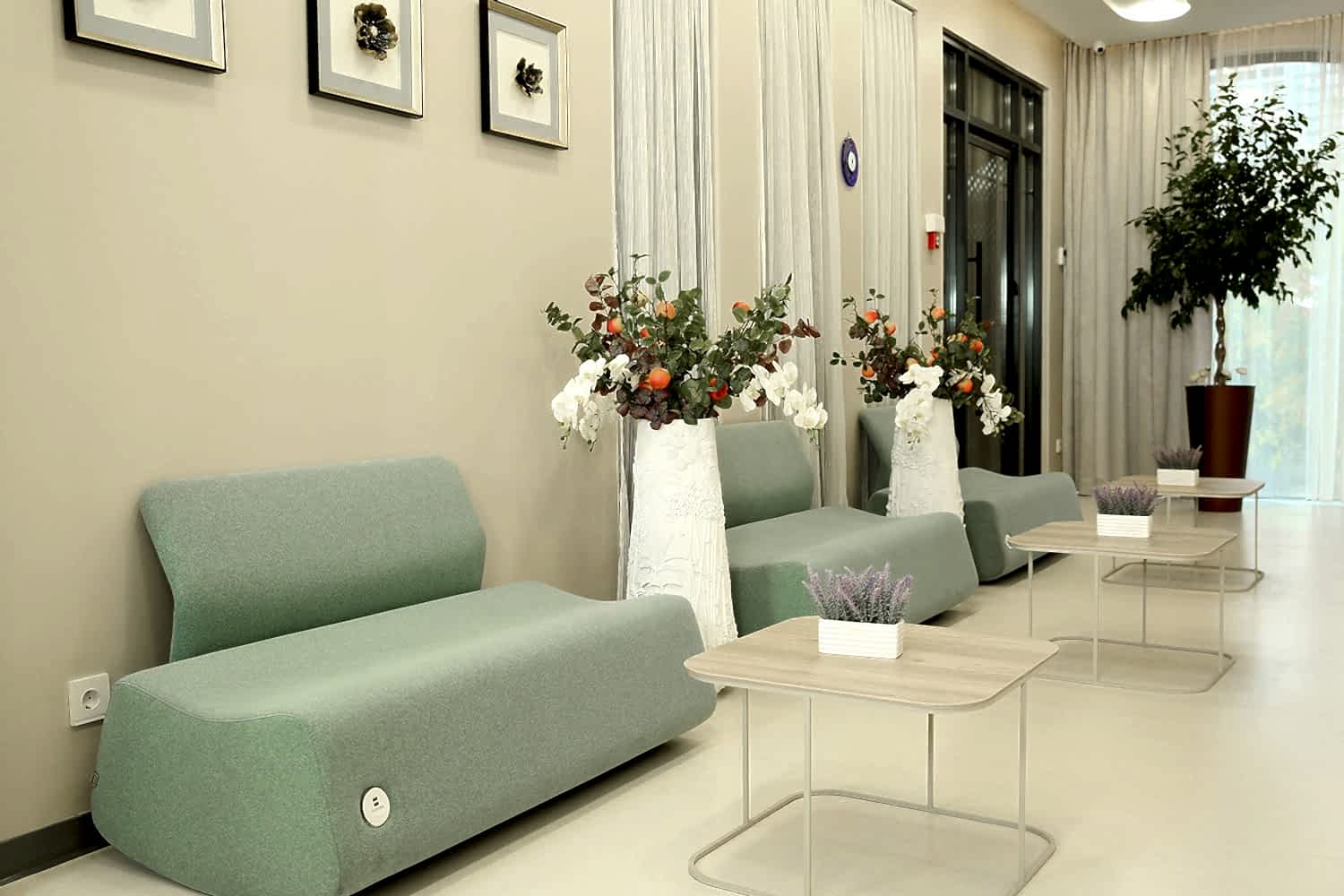 Metobolit Clinica